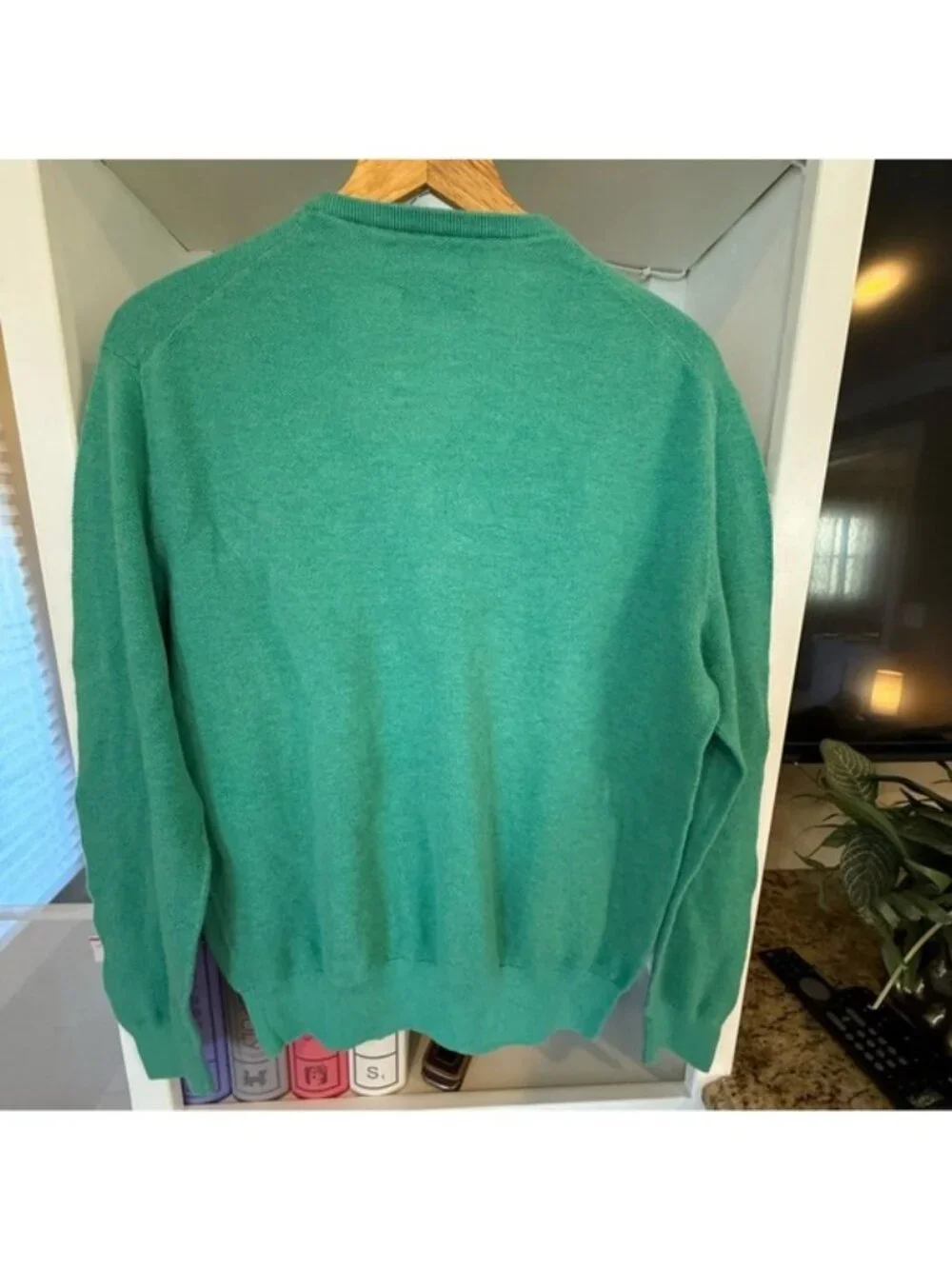 Polo by Ralph Lauren Men's Green V-Neck Sweater